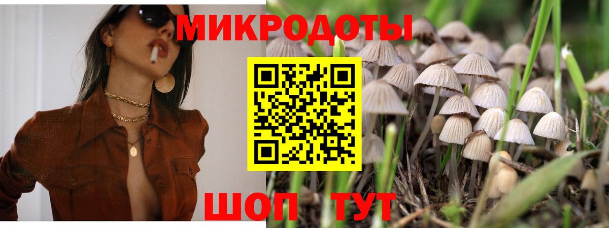 Псилоцибиновые грибы Cubensis Гурьевск