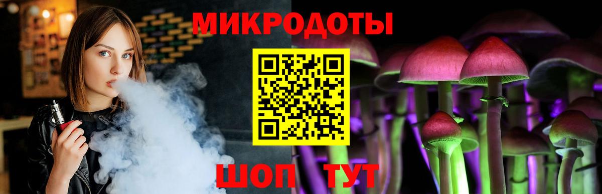Гурьевск  Псилоцибиновые грибы Psilocybine cubensis  Вход с VPN 